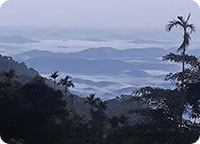 Maghatheeram 